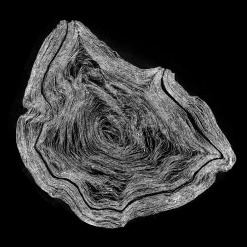 CT 스캔은 헤르쿨라네움 두루마리의 내부 구조를 보여줍니다. 이미지 제공: 브렌트 실즈 켄터키 대학 교수 
